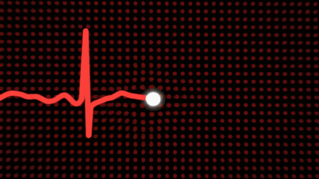 1686555355852959.gif