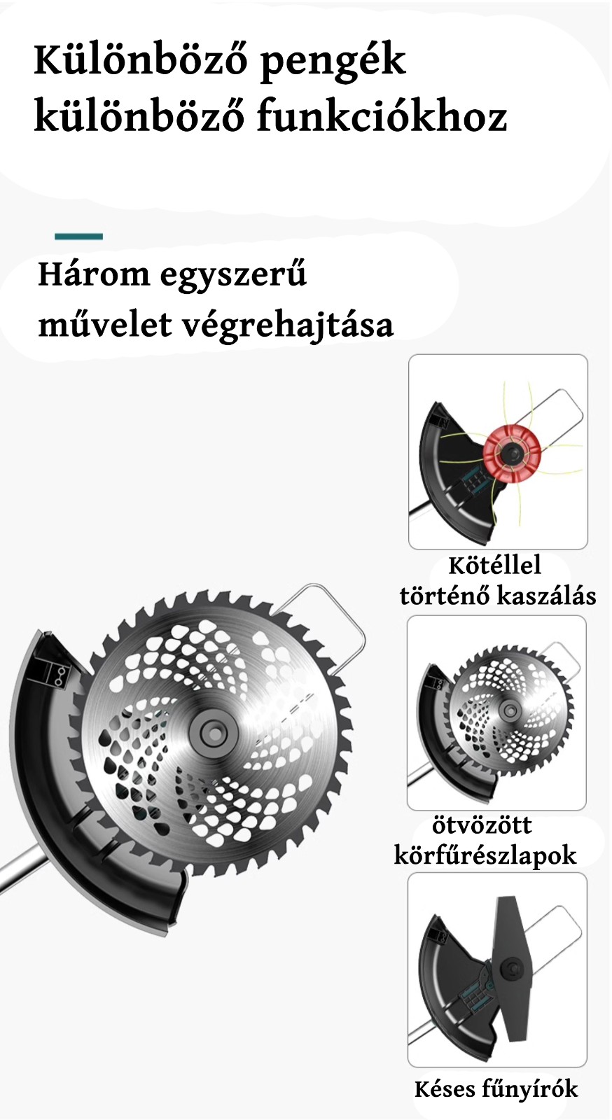 1686565709113932.jpg