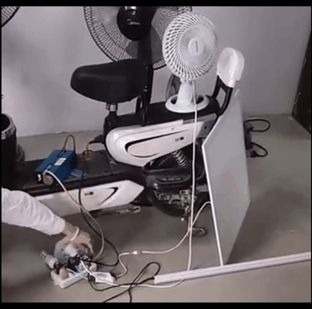 1689921479512280.gif tutieshi_640x634_3s.gif