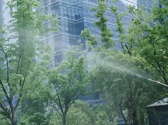 西瓜.gif