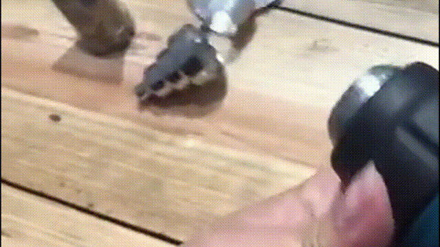 6月14日(1).gif