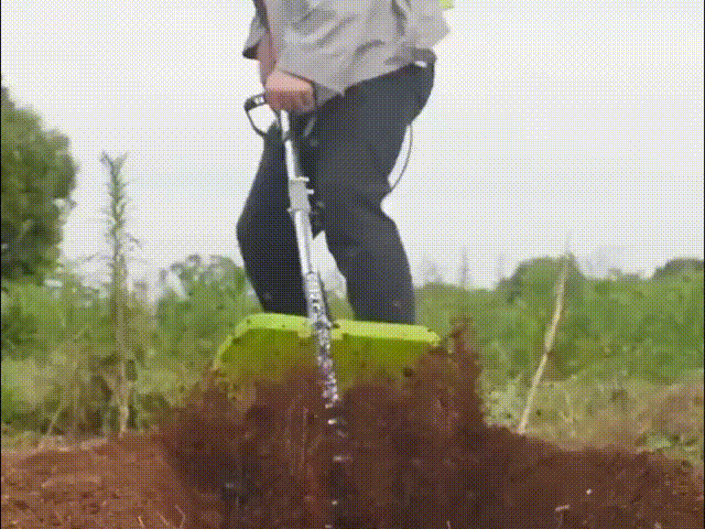 合集动图.gif