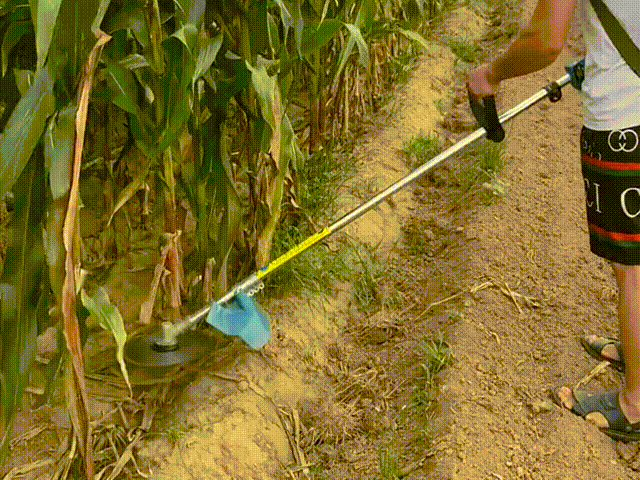 割玉米 00_00_00-00_00_30.gif