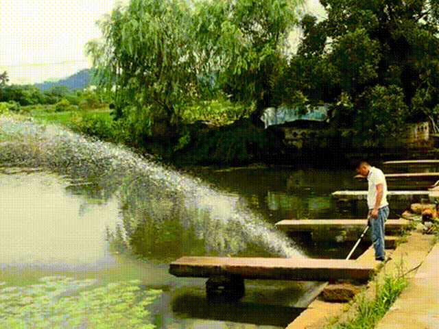 喷水1.gif