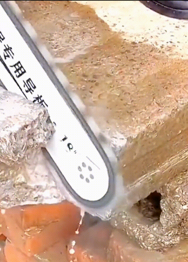 1722997209841222.gif