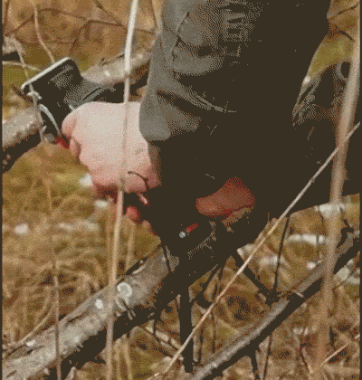 4.gif