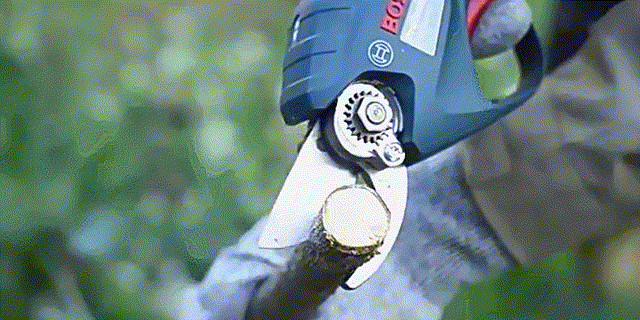 GIF 2025-2-22 16-03-12 00_00_00-00_00_30.gif