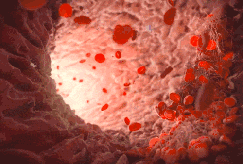 1741093426557331.gif