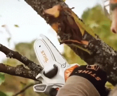 1744788175474470.gif