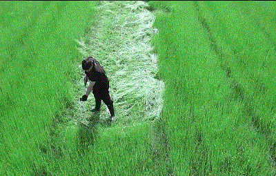 1745207621986892.gif