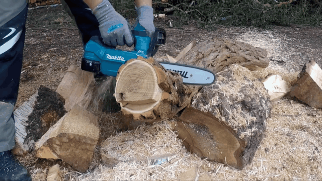 8.gif