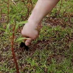 手酸.gif