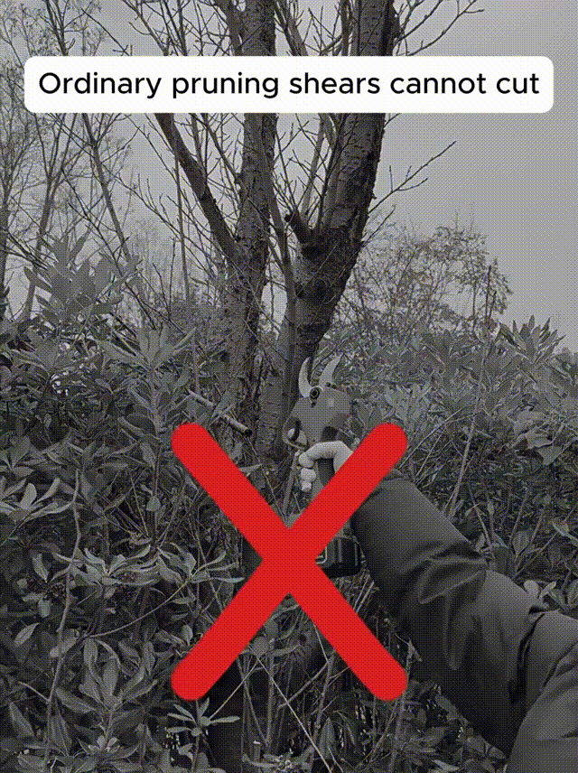 对比.gif