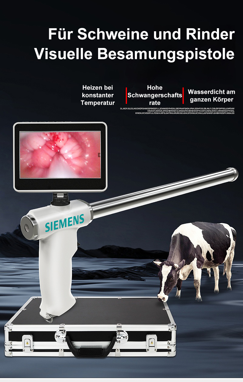 1758768618468571.jpg 6.jpg