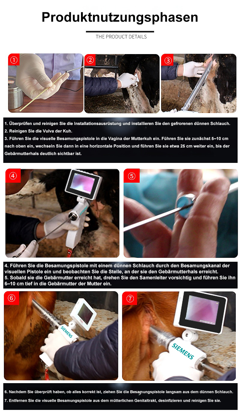 1758768690974994.jpg 10.jpg