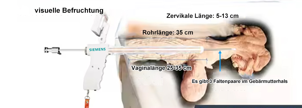 1758768705832592.jpg 11.jpg